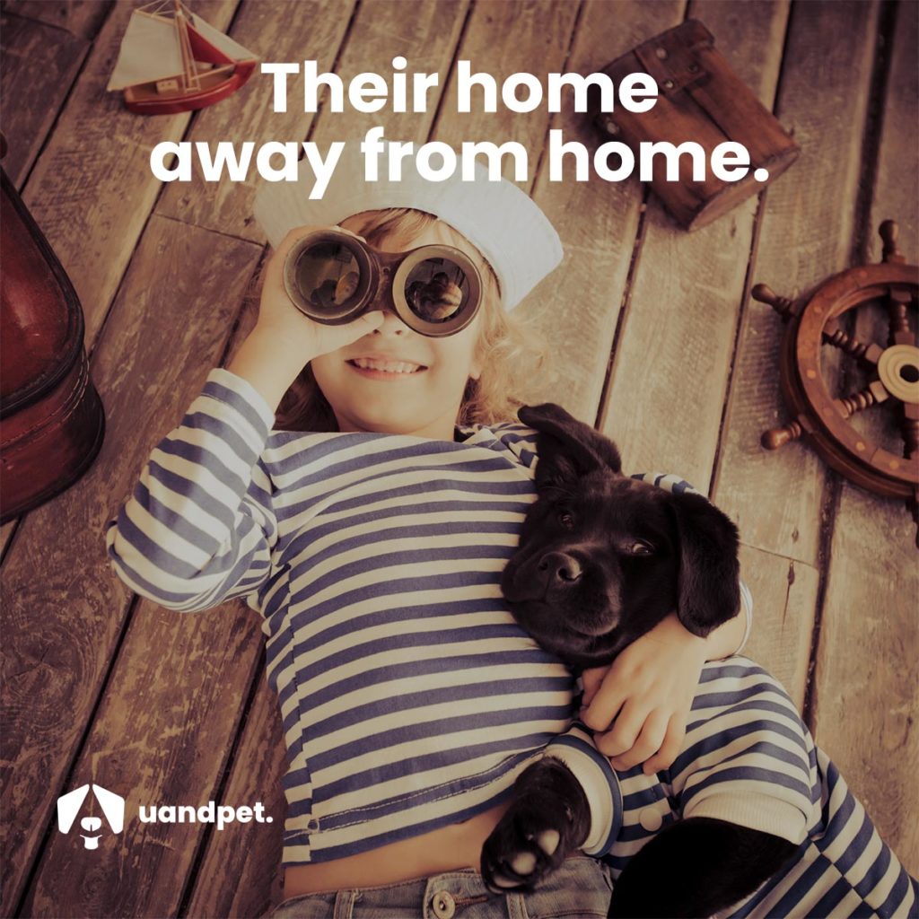 U&Pet Promo Graphic - Home Away From Home